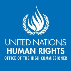 united nations high commissioner for human rights